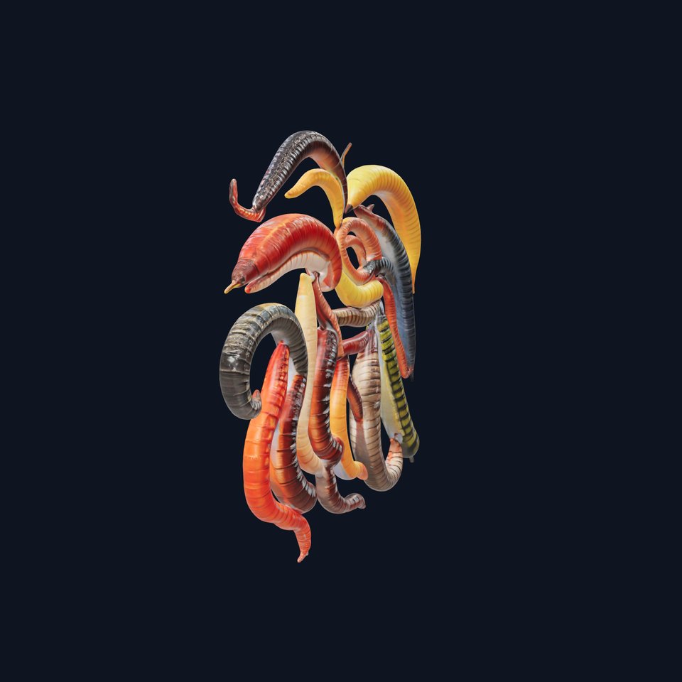 Realistic Centipede Model Pack